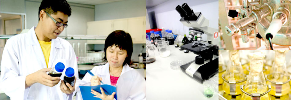 Our Support & Services - Laboratory Services