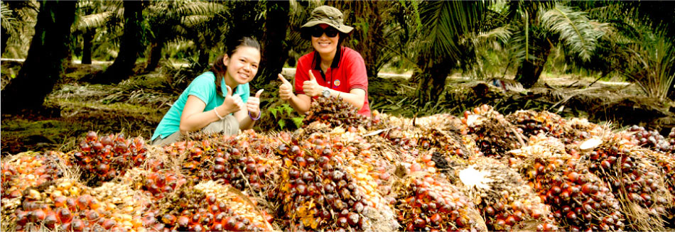 JQ Biotech Testimonials